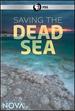 Nova: Saving the Dead Sea Dvd