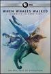 When Whales Walked: a Deep Time Journey Dvd