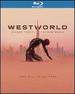 Westworld: Season Three: the New World [Blu-Ray]