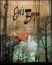 Eve's Bayou (the Criterion Collection) [Blu-Ray]