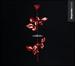 Violator [CD/DVD]