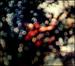 Obscured By Clouds: [Vinyl]