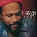 Marvin Gaye Collected (Gatefold Sleeve) [180 Gm 2lp Black Vinyl]