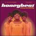 Honeybeat: Groovy '60s Girl Pop