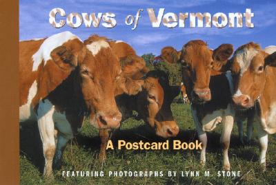 Cows of Vermont - Stone, Lynn M.