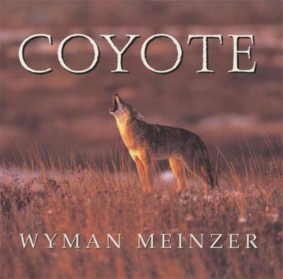 Coyote - Meinzer, Wyman (Photographer)