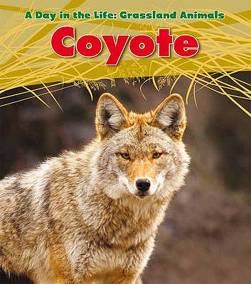 Coyote - Spilsbury, Louise