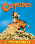 Coyotes