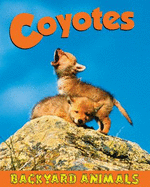 Coyotes - Webster, Christine