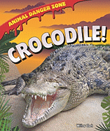 Crocodile!