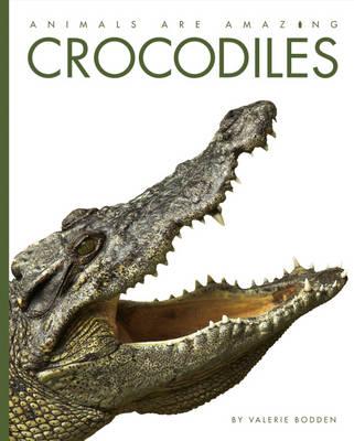 Crocodiles - Bodden, Valerie