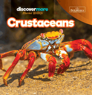 Crustaceans