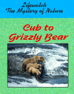 Cub to Grizzly Bear