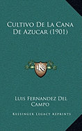 Cultivo De La Cana De Azucar (1901)