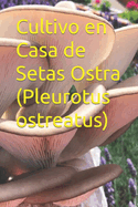 Cultivo en Casa de Setas Ostra (Pleurotus ostreatus)