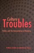 Culture Troubles: Politics and the Interpretation of Meaning