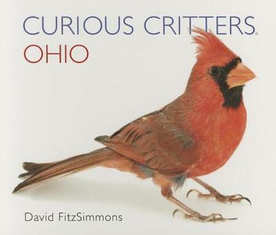 Curious Critters Ohio - Fitzsimmons, David