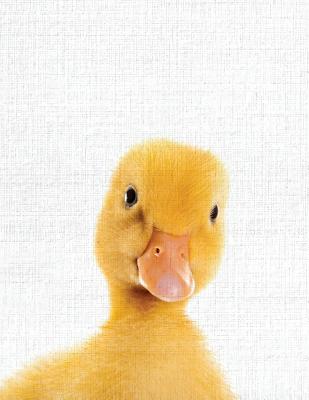 Cute Animal Composition Book Duck: 8.5 x 11'', 200 Wide Ruled Pages, Notebook for School Softcover Canvas Design: Large notebook journal for teacher, students, and college - Library, Bb Book