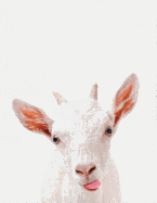 Cute Animal Composition Book Smiley Goat: 8.5 X 11'', 200 Wide Ruled Pages, Notebook for School Softcover Canvas Design: Large Notebook Journal for Teacher, Students, and College