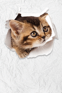 Cute Kitten: Notebook, Jotter, with 100 dotgrid sides, 6 X 9 ( 15,24 cm X 22,86 cm )