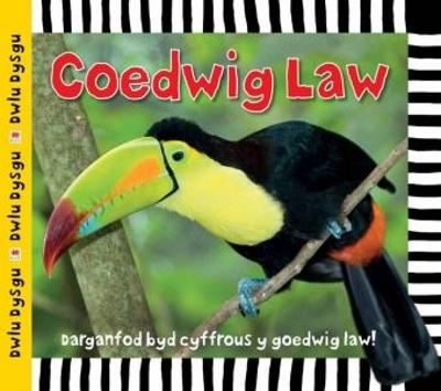 Cyfres Dwlu Dysgu: Coedwig Law - Powell, Sarah, and Mair, Bethan (Translated by)