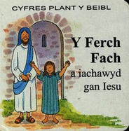 Cyfres Plant y Beibl: Ferch Fach a Iachawyd gan Iesu, Y