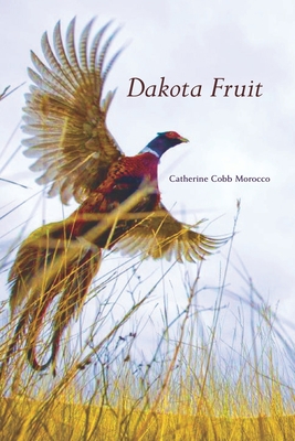 Dakota Fruit - Morocco, Catherine Cobb