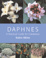 Daphnes: A Practical Guide for Gardeners