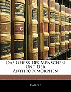 Das Gebiss Des Menschen Und Der Anthropomorphen