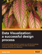 Data Visualization: A Successful Design Process
