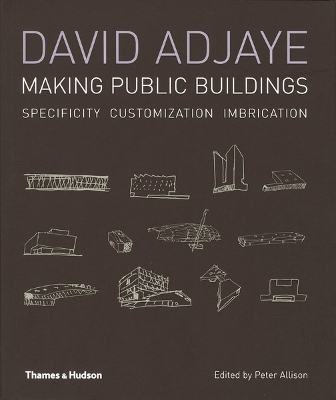 David Adjaye: Making Public Buildings - Allison, Peter (Editor)