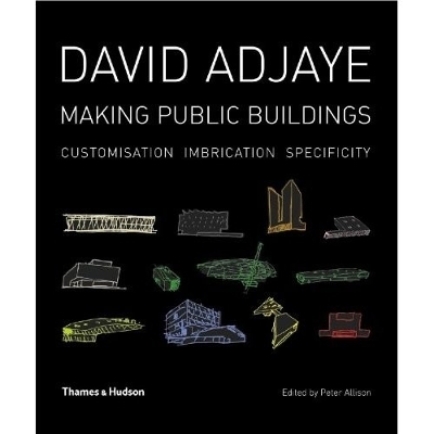 David Adjaye: Making Public Buildings - Allison, Peter