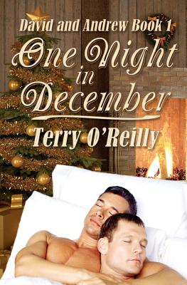 David and Andrew Book 1: One Night in December - O'Reilly, Terry