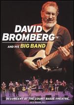 David Bromberg and His Big Band: In Concert at the Count Basie Theatre, Red Bank, NJ