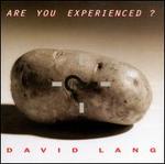 David Lang: Are You Experienced? - David Lang