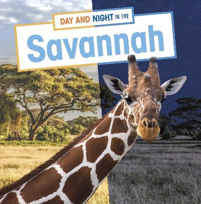 Day and Night in the Savannah - Boone, Mary