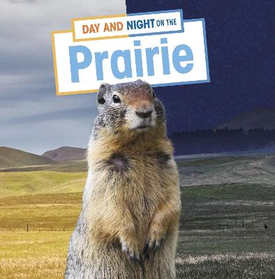Day and Night on the Prairie - Labrecque, Ellen