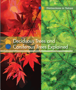 Deciduous Trees and Coniferous Trees Explained