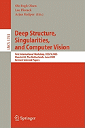 Deep Structure, Singularities, and Computer Vision