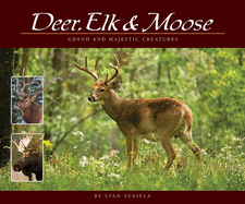 Deer, Elk & Moose: Grand and Majestic Creatures