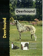 Deerhound