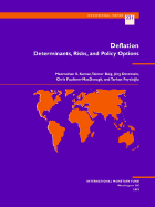 Deflation: Determinants, Risks, and Policy Options