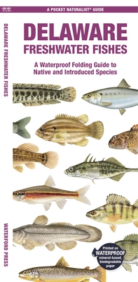 Delaware Freshwater Fishes: A Waterproof Folding Guide to Native and Introduced Species - Morris, Matthew, and Kavanagh, Jill (Creator)