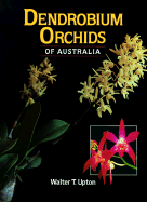 Dendrobium Orchids of Australia