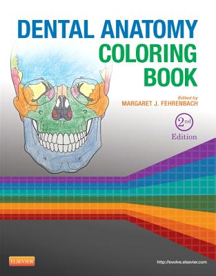 Dental Anatomy Coloring Book - Fehrenbach, Margaret J, MS (Editor)