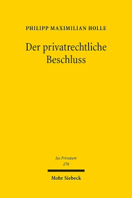 Der privatrechtliche Beschluss: Funktionsvoraussetzungen, Tatbestand, Fehlerfolgen - Holle, Philipp Maximilian