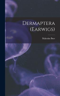 Dermaptera (Earwigs) - Burr, Malcolm