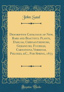 Descriptive Catalogue of New, Rare and Beautiful Plants, Dahlias, Chrysanthemums, Geraniums, Fuchsias, Carnations, Verbenas, Phloxes, &C., for Spring, 1873 (Classic Reprint)