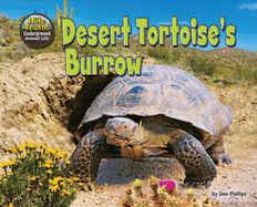 Desert Tortoise's Burrow