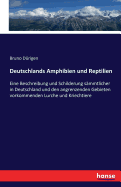 Deutschlands Amphibien und Reptilien: Eine Beschreibung und Schilderung smmtlicher in Deutschland und den angrenzenden Gebieten vorkommenden Lurche und Kriechtiere